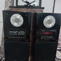 یک جفت باند فدرال