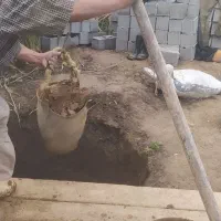 چاه کن مغنی مخصوص چاه اب