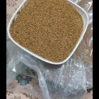 تخم یونجه با کیفیت