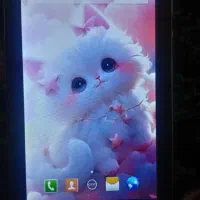 تبلت|تبلت|مشهد, شهید قربانی|دیوار