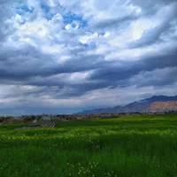 مشاوره حقوقی رایگان