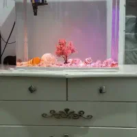 آکواریوم شیشه خم زیبا