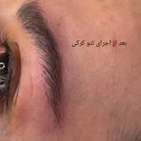 تتو کرکی (کاشت رنگ بصورت مویی و کاملا طبیعی)|خدمات آرایشگری و زیبایی|کرج, حیدرآباد|دیوار