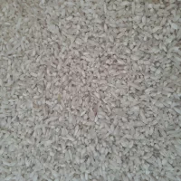 برنج طارم سرلاشه