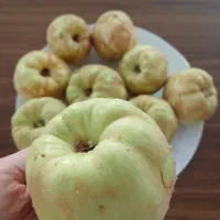 میوه ی به درجه یک  اصفهان