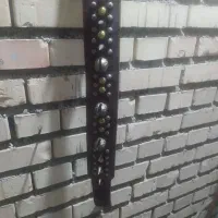 قلاده‌سگ‌چرم بازنگوله‌‌کاری‌که‌مشاهده‌میکنید