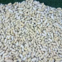 بادام زمینی درجه یک|عمده‌فروشی|جوانرود, |دیوار