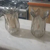 تعداد ۲۰ عدد لاله لوستر ۸۵۰