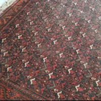 فرش کهنه سرتاسر زابل|فرش|خوی, |دیوار