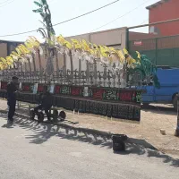 علامت ۲۳ طیغ