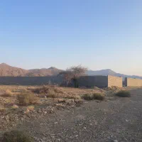 سردخانه ۳۰۰۰ مترمربع ( حاجی آباد )