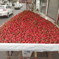 گاری سالم وتمیز|فروشگاه و مغازه|رشت, جماران|دیوار