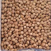 خرید و فروش انجیر ضایعات|عمده‌فروشی|استهبان, |دیوار