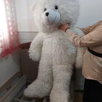 عروسک خرس|اسباب‌بازی بچه|قم, حقیقت|دیوار