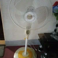 پنکه سالم و تمیز بهترین مارک سونیا