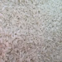 برنج عنبربو