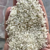 سرلاشه فجرسوزنی
