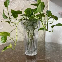 مجسمه|مجسمه، تندیس، ماکت|اسلامشهر, شهرک قائمیه|دیوار