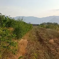 باغ ۳۰۰۰متری لب اتوبان زنجان تهران سندتکبرگ|فروش دفتر صنعتی، کشاورزی، تجاری|تهران, فرودگاه مهرآباد|دیوار