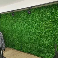 نصب گرین وال