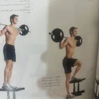 مربی بدنسازی