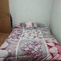 تشک دو نفره همراه رو تختی