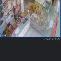 نیازمند شاطر آزادپز