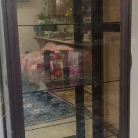 معاوضه با قناری یا طوطی یا عروس