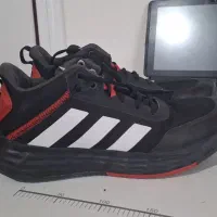 کفش والیبال اورجینال|کیف، کفش، کمربند|اسفراین, |دیوار