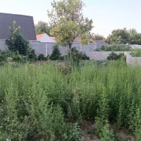 زمین۳۵۰متری با نامه بنیاد