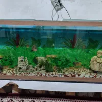 آکواریوم شیشه ده میل