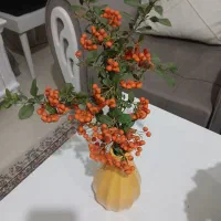 گلدان سالم معاوضه با گلدان سفید