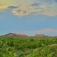 خرید-باغ-بدون-واسطه-مستقیم-از-مالک