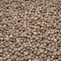 گردو پر مغز اصل کوهستان کوردستان
