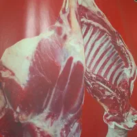 استخدام کارگر ساده برای کار در قصابی