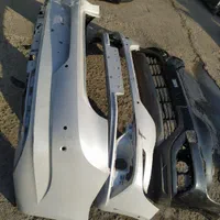 سپر کولیوس تالیسمان کپچر مگان فلوئنس داستر سیمبل