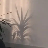 مغازه ۱۸متری