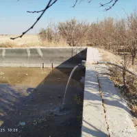 یک-واحد-گاوداری