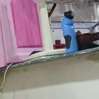سالم