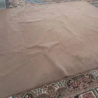 موکت پالاز|موکت|کرمانشاه, |دیوار