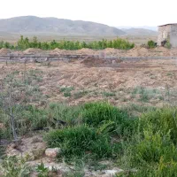 ۲۷۰متر زمین باغی ملکی همراه سهمیه آب و تعدادی درخت