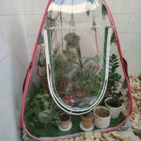 گلخانه خانگی اصفهان