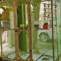 قفس دست ساز مخصوص طوطی سان ها