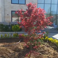 اجرا و نگهداری پروژه های فضای سبز در هر ابعادی