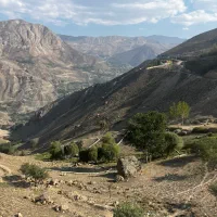 اجاره هتل در ابگرم لاریجان|اجارهٔ کوتاه‌مدت آپارتمان و سوئیت|رینه, |دیوار