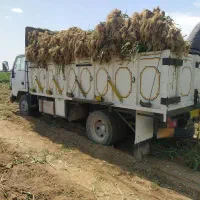 خاور هیوندا