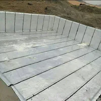 ایزوگام و قیرگونی آسفالت جوان|خدمات پیشه و مهارت|بیرجند, |دیوار