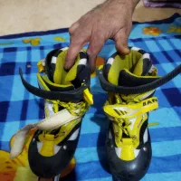 کفش اسکیت