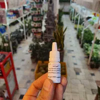 کود ضد شوک و تنش آمینو اسید گل گیاه آپارتمانی پتوس|گل و گیاه طبیعی|قم, نیروگاه|دیوار