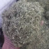 یانداق خار شتر درجه یک خالص.سبز